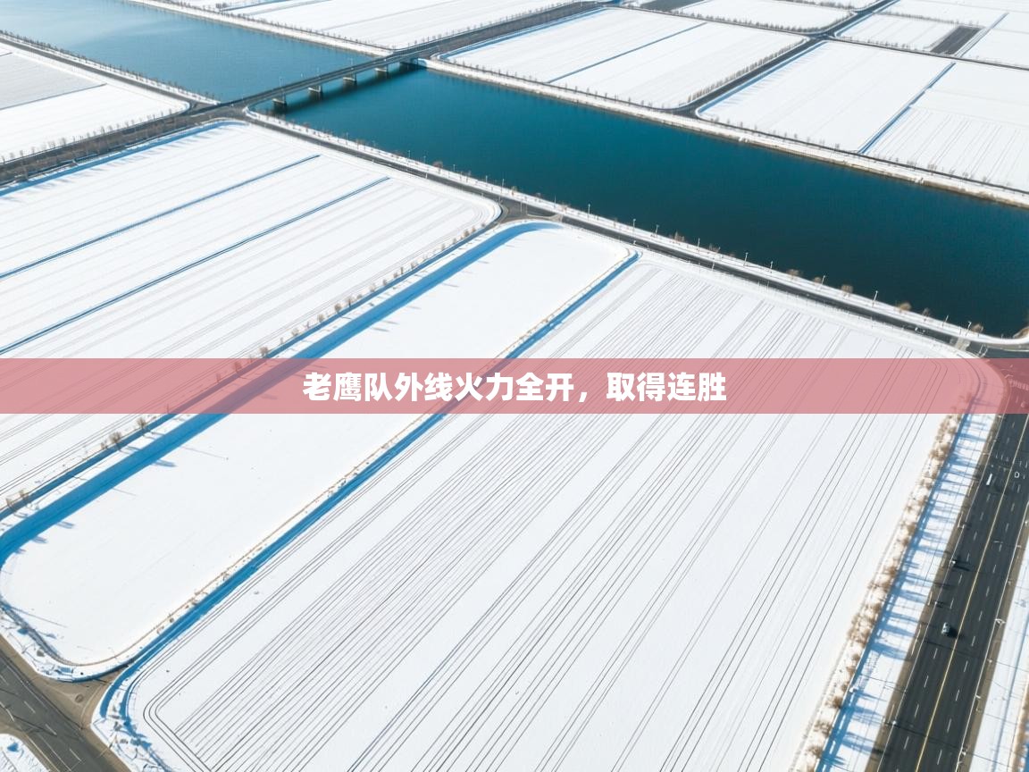 老鹰队外线火力全开，取得连胜